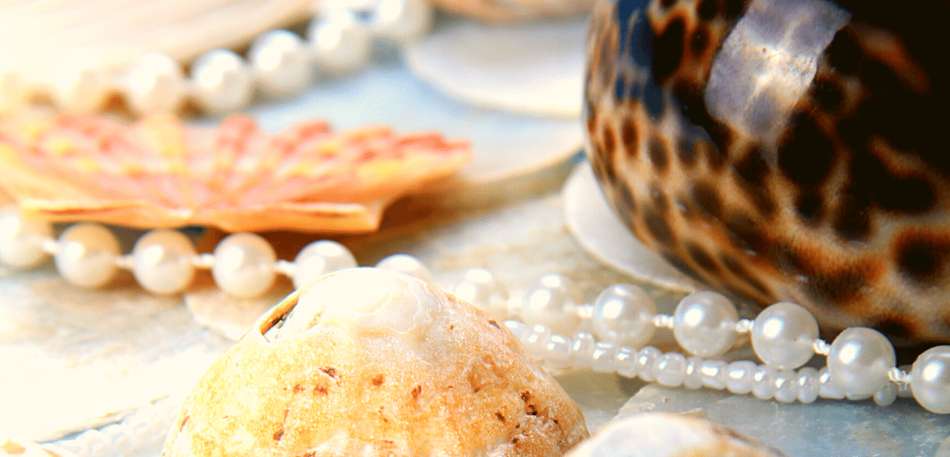 Pearly Shells