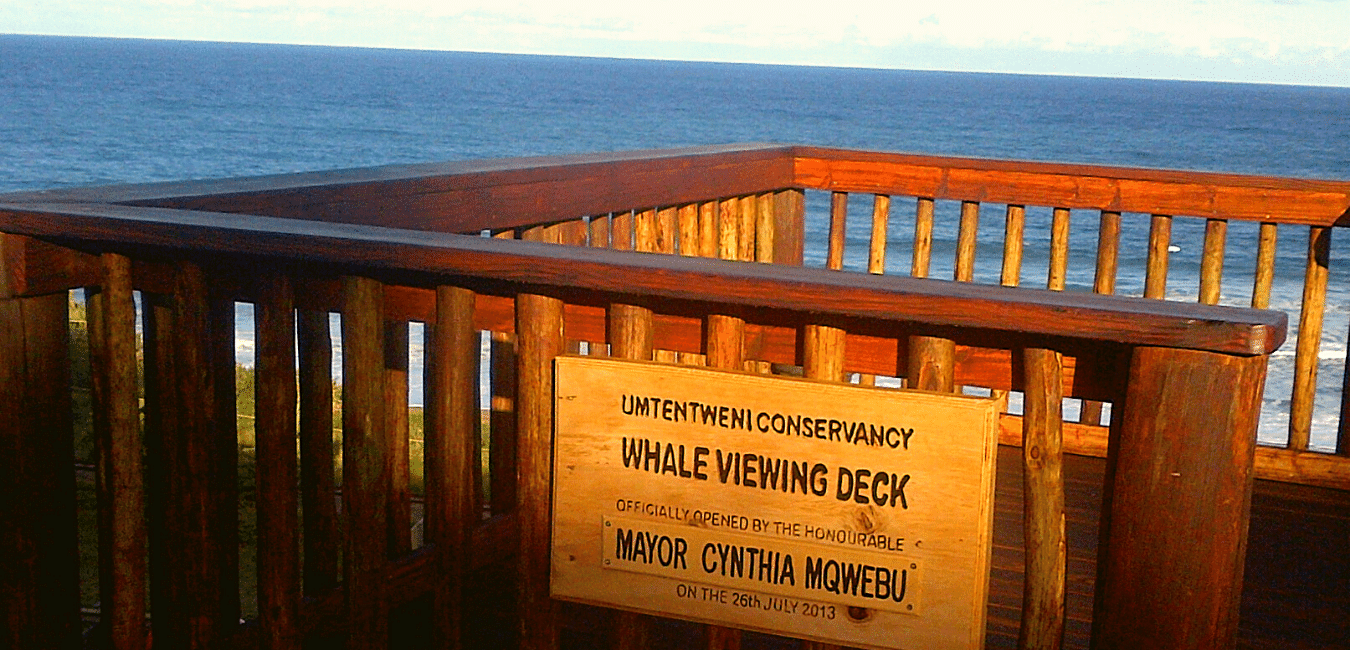 Tweni Whale Deck
