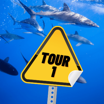 Tours