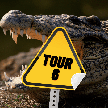 Tour 6