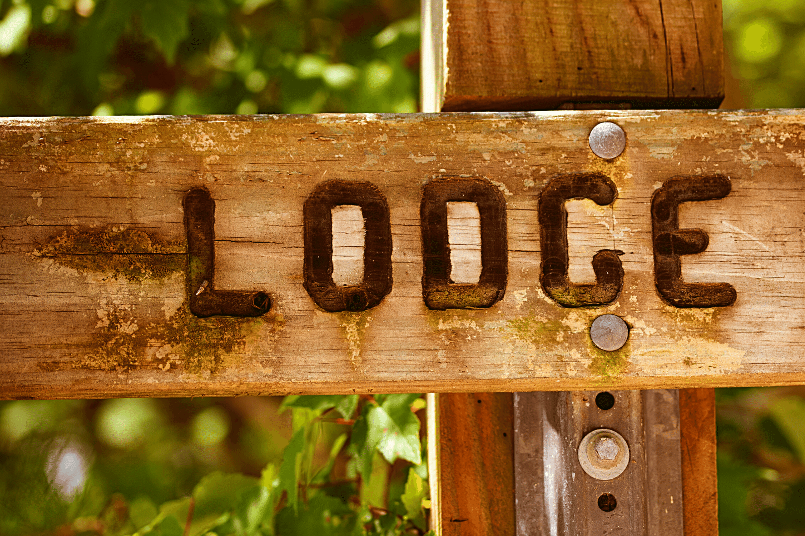 Lodges & Retreats