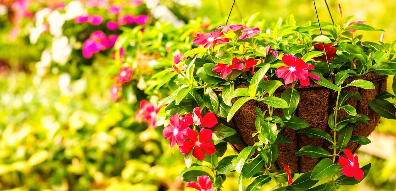 Stephward Estate Nursery