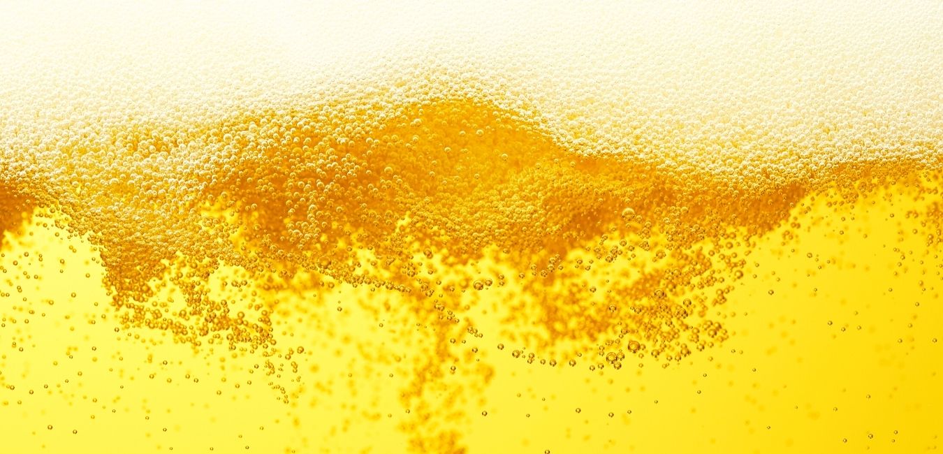 The Doghouse & Basset Breweries