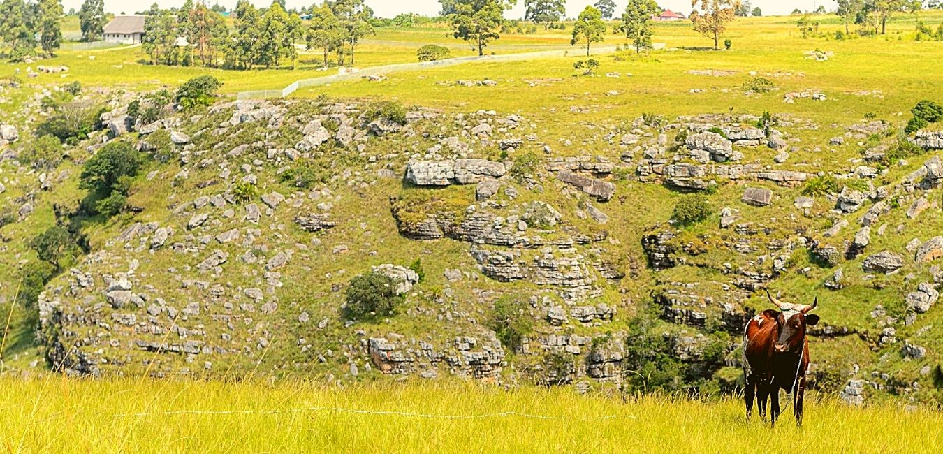Kwaxolo Cave Trails