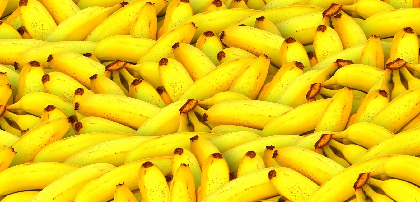 Banana Tours