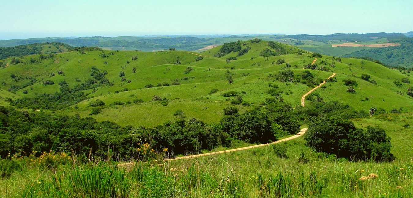 Fredrika reserve