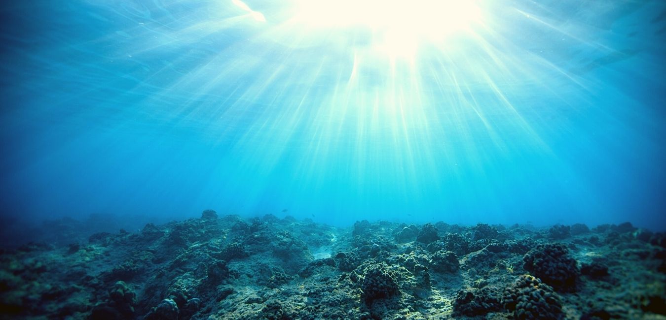 Diving