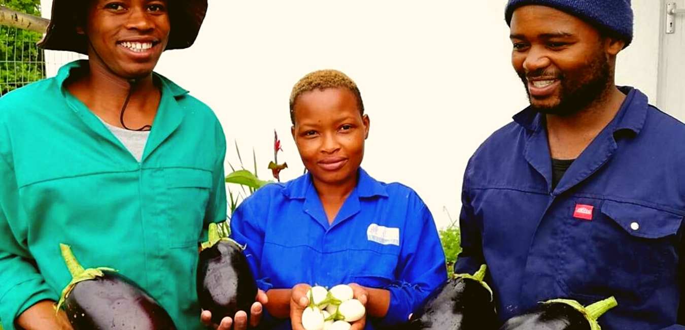 Agri Tourism